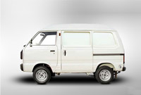 Suzuki Cargo Van 2012 Side View